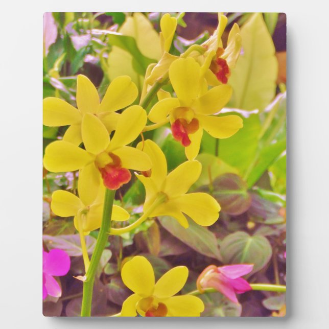 Plaque Photo Beautiful Yellow autumn (Devant)