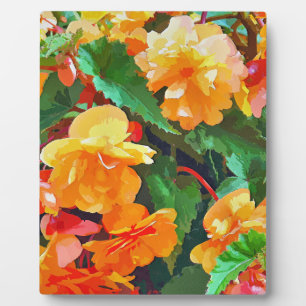 PLAQUE PHOTO BEGONIAS