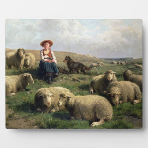Plaque Photo Bergère avec des moutons dans un paysage