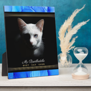 Plaque Photo Best Cat Ever Blue Abstract Named Photo Matrice