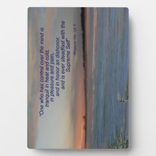Plaque Photo Bhagavad Gita Quote Plaque, "One who has control. (Devant)
