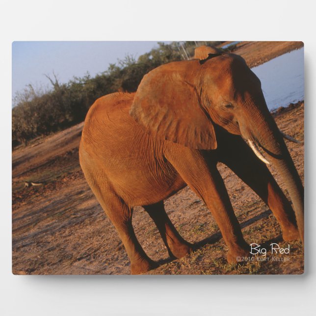 Plaque Photo Big Red (Devant)