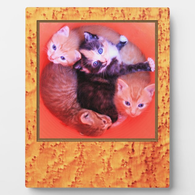 Plaque Photo Bird's Eye Maple Wood Grains Pattern Picture Frame (Devant)