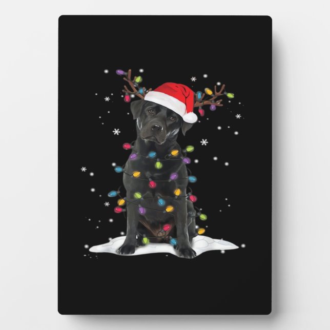 Plaque Photo Black Labrador Xmas Dog Christmas Tree Light Class (Devant)