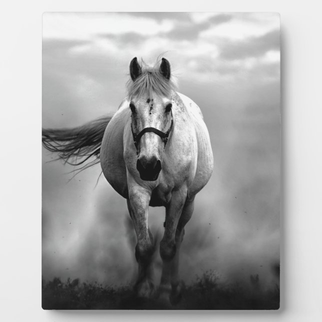 Plaque Photo Black White Runse Horse Freedom (Devant)
