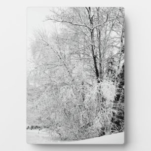 Plaque Photo Blancs d'hiver