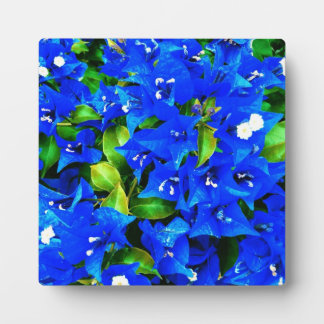Plaque Photo Bougainvilliers bleus vifs Fleurs