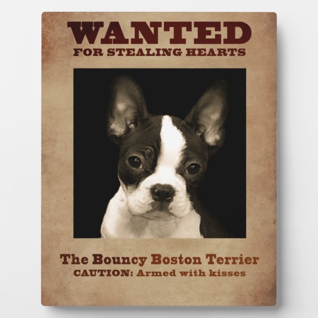 Plaque Photo Bouncy Boston (Devant)