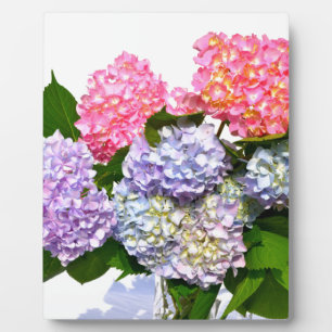 Plaque Photo Bouquet Hydrangea