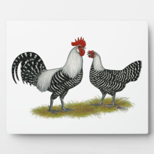 Plaque Photo Brakel Chickens
