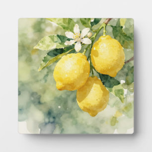 Plaque Photo Branche de citron à l'aquarelle Botanique Été