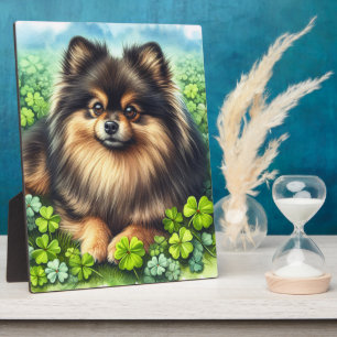 Plaque Photo Brindle Pomeranian Shamrock