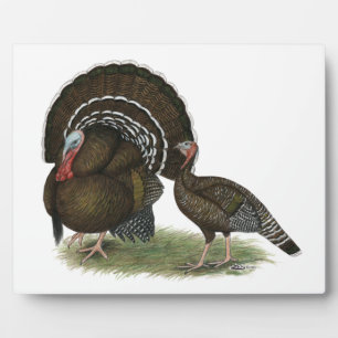 Plaque Photo Bronze standard de Turkey