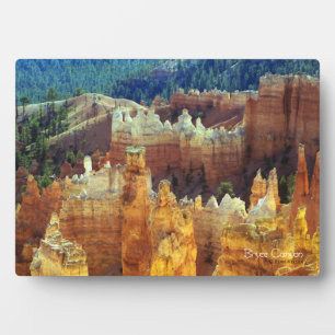 Plaque Photo Bryce Canyon