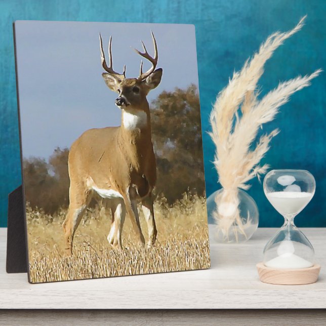 Plaque Photo Buck Whitetail (Côté)
