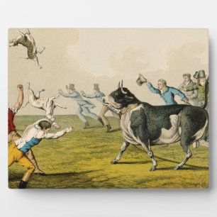 Plaque Photo "Bull Baiting", pub. de Thomas McLean, 1820, (prin
