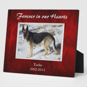 Plaque Photo Burgundy Red Silver Pet Memorial Template