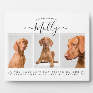 Plaque Photo Cadeau commémoratif de chien - Perte d'animal de c