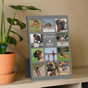 Plaque Photo Cadeau commémoratif pour animaux Collage de phot