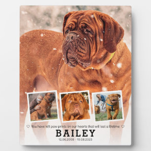 Plaque Photo Cadeau commémoratif pour animaux de compagnie - Ch