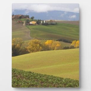 Plaque Photo Campagne toscane verte