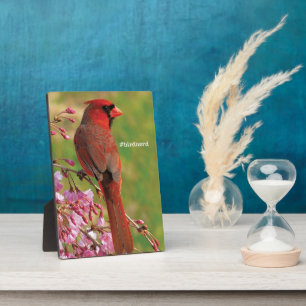 Plaque Photo Cardinal du Nord