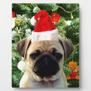 Plaque Photo Carlin Chien Chien Chien de Noël Arbre de Noël Orn