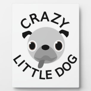 Plaque Photo Carlin fou petit chien