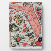 Carte de Floride vintage