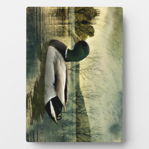 Plaque Photo Carte postale Patinée vintage Mallard Duck