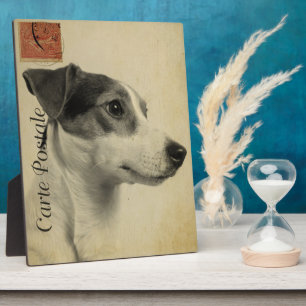 Plaque Photo Carte postale Vintage Jack Russell