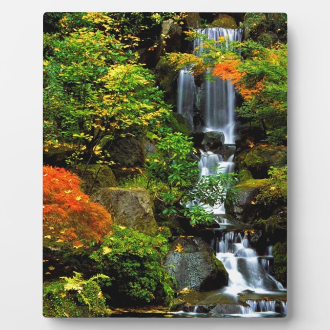 Plaque Photo Cascade Jardin japonais Portland (Devant)