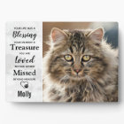 Cat Memorial Pet Perte