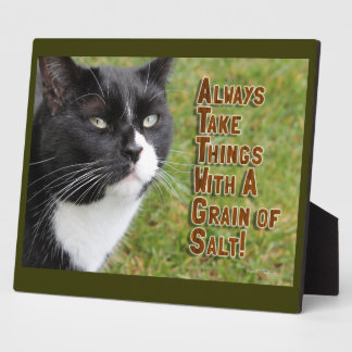 Plaque Photo Céréales de sel Conseil de chat Temps de motivatio