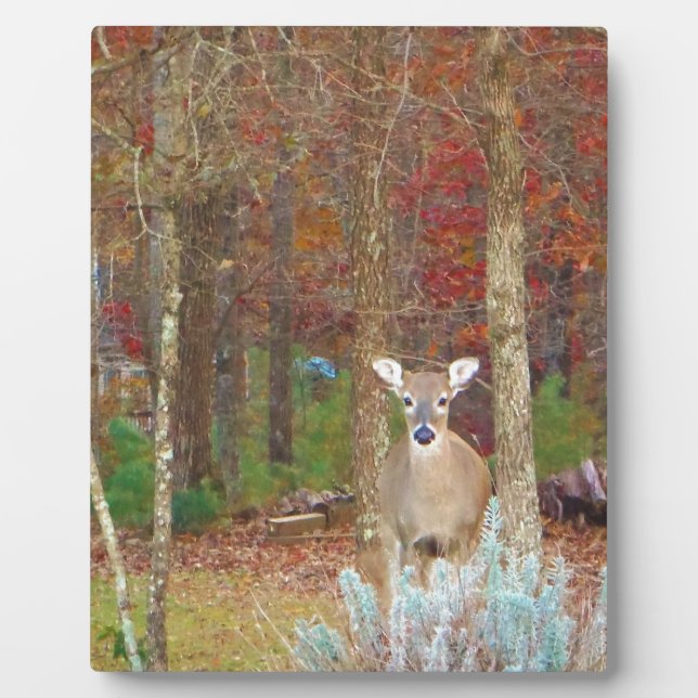 Plaque Photo Cerf de Noël (Devant)
