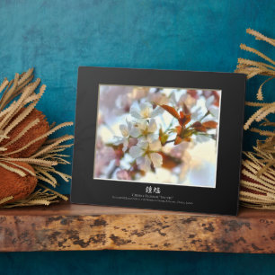 Plaque Photo Cerisier en fleurs : Shouki