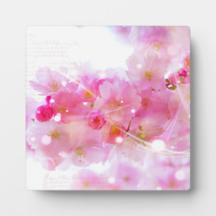 Plaque Photo Cerisier japonais aux fleurs rose pastel