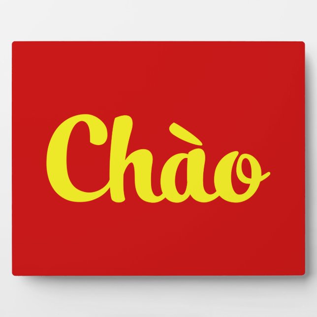 Plaque Photo Chào / Hello ~ Vietnam / Vietnamien / Tiêt Viêt (Devant)
