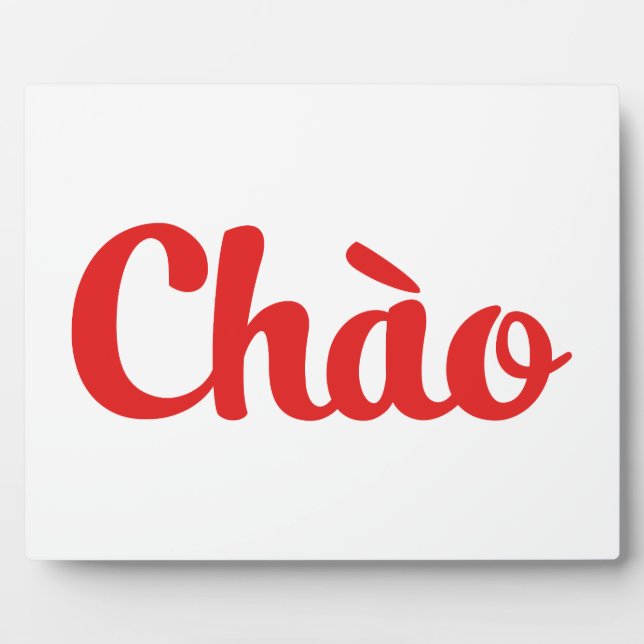 Plaque Photo Chào / Hello ~ Vietnam / Vietnamien / Tiêt Viêt (Devant)