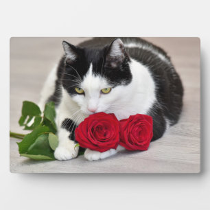 Plaque Photo Chat mignon avec la rose rouge