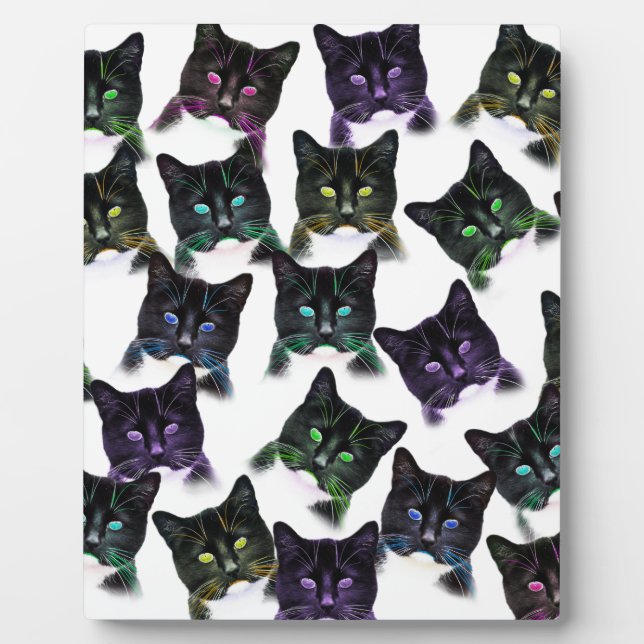 Plaque Photo Chats cool (Devant)