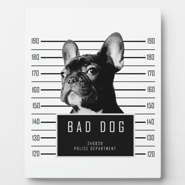 Plaque Photo Chemise de Mugshot de Chien-taureau français (Devant)