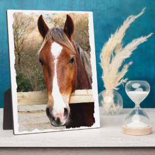 PLAQUE PHOTO CHESTNUT CHEVAL
