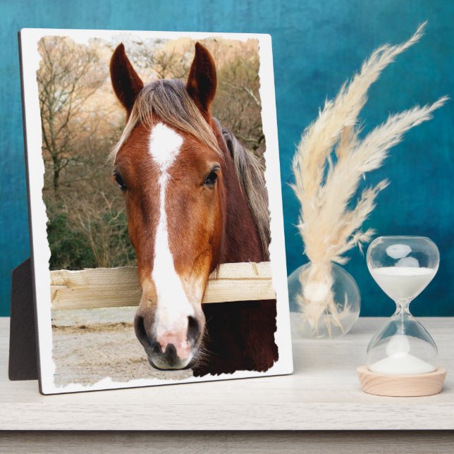 PLAQUE PHOTO CHESTNUT CHEVAL (Côté)