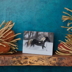 Plaque Photo Cheval à travers la neige