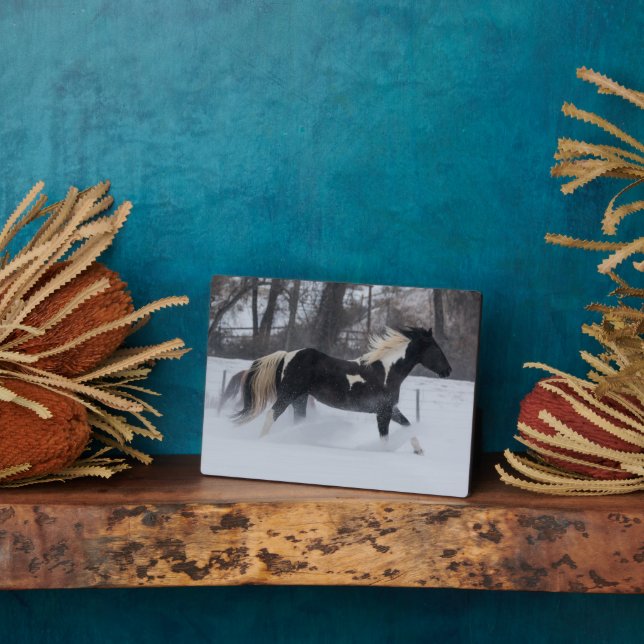 Plaque Photo Cheval à travers la neige (Côté)