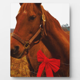 Plaque Photo Cheval avec un ruban rouge