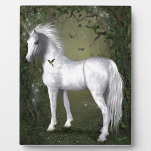 Plaque Photo Cheval blanc dans les bois avec des colibris
