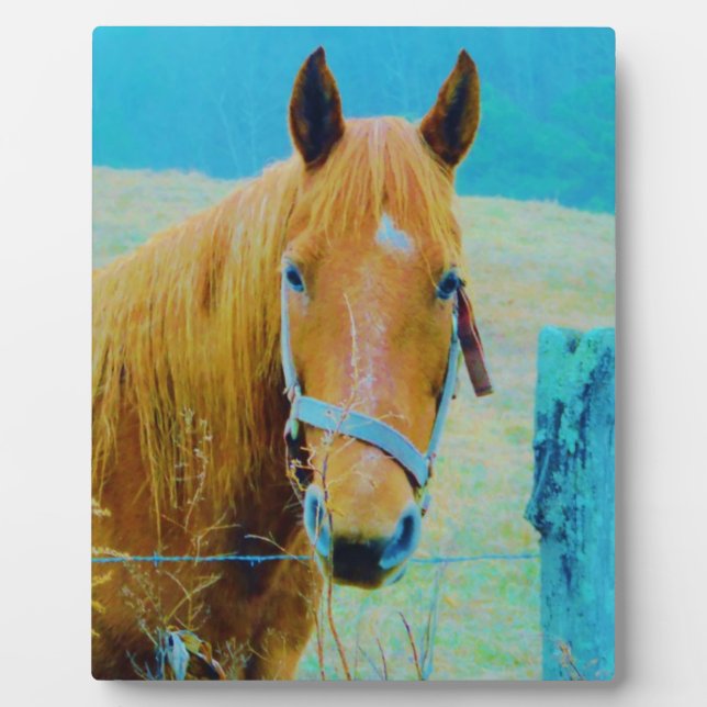 Plaque Photo Cheval bleu Denim teinté (Devant)