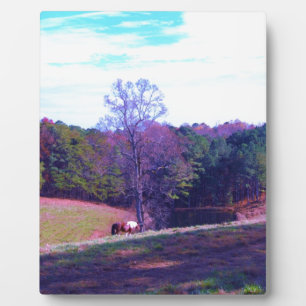 Plaque Photo Cheval éloigné dans un champ violet